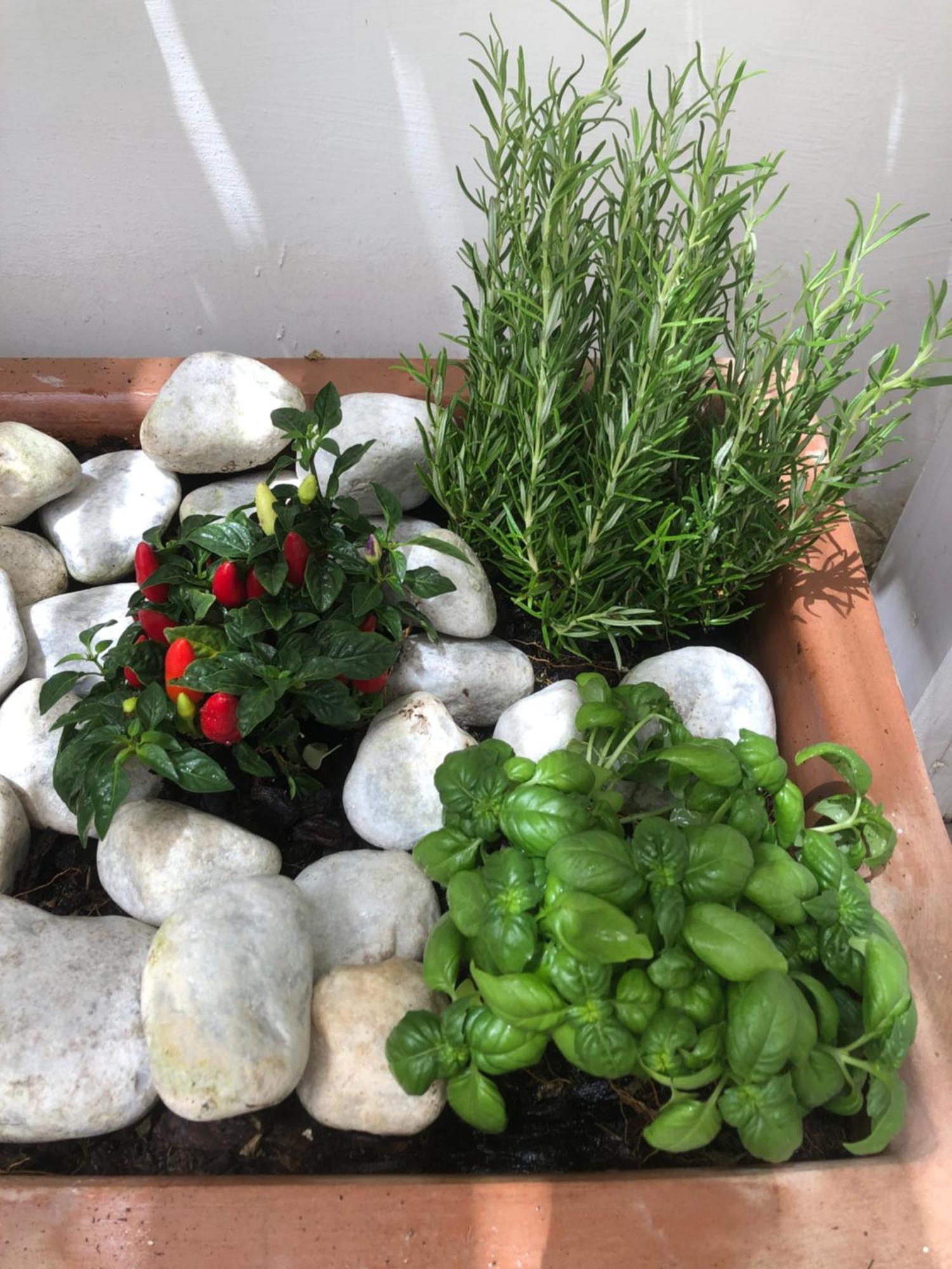 אנה קאפרי Casa Flavia Apartment מראה חיצוני תמונה